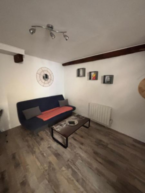 Hypercentre, proche halage et rue principale